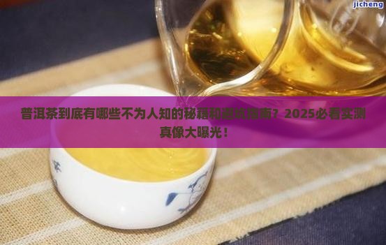 普洱茶的相关知识有哪些