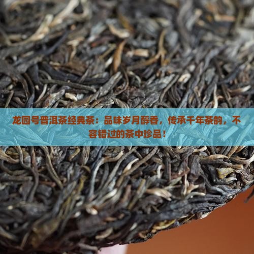 龙园号普洱茶经典茶