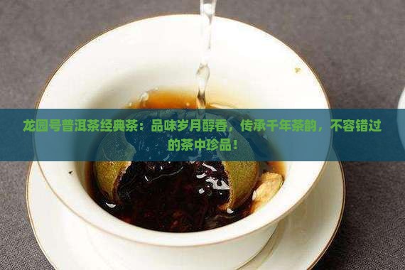 龙园号普洱茶经典茶