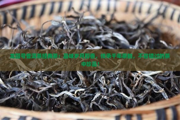 龙园号普洱茶经典茶