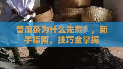 普洱茶为什么先煮