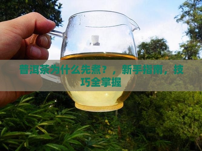 普洱茶为什么先煮