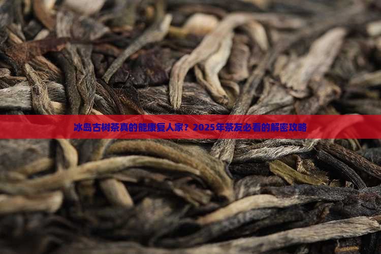 冰岛古树茶康复人家 冰岛古树茶康复人家