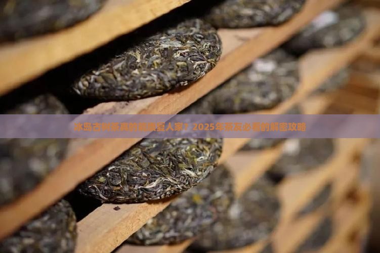 冰岛古树茶康复人家 冰岛古树茶康复人家