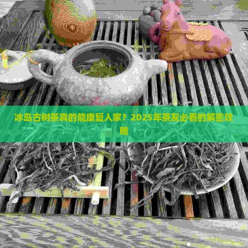 冰岛古树茶康复人家 冰岛古树茶康复人家