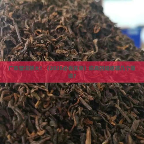 普洱茶牌子广东有哪些