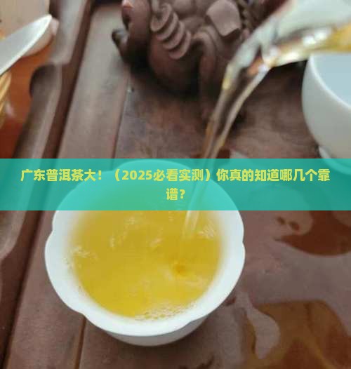 普洱茶牌子广东有哪些