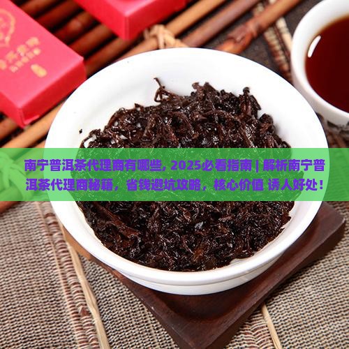 南宁普洱茶品牌代理商有哪些