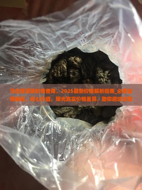 马台普洱茶价格查询
