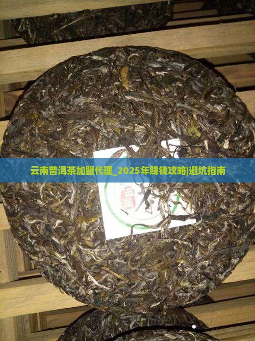 云南普洱茶加盟代理