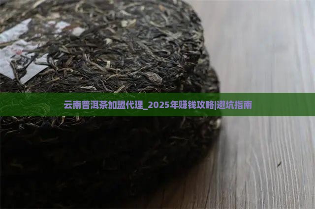 云南普洱茶加盟代理