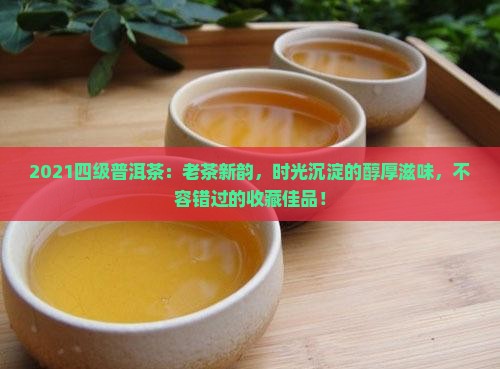 2021四级普洱茶