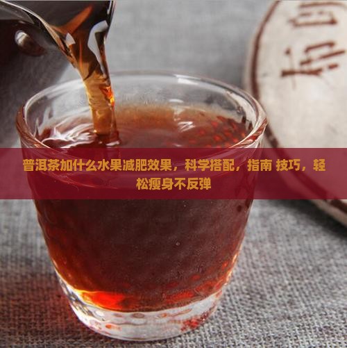 普洱茶加什么水果减肥效果最好