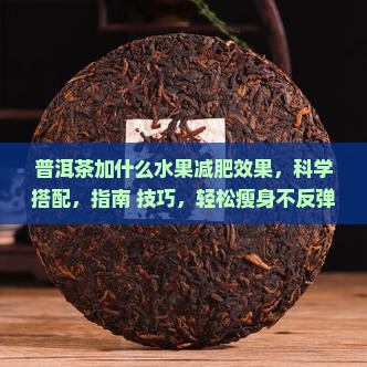 普洱茶加什么水果减肥效果最好