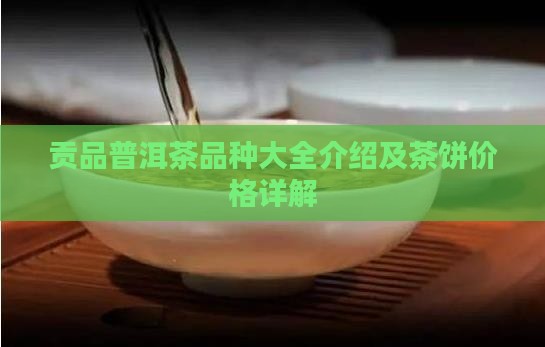贡品普洱茶品种