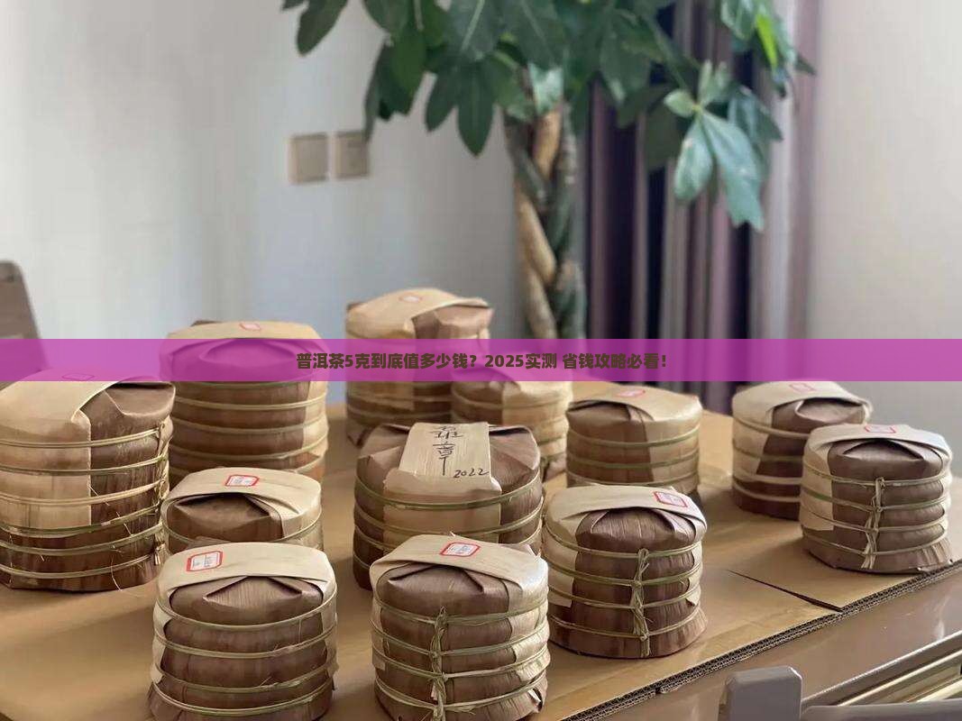 普洱茶5克大约多少钱一克