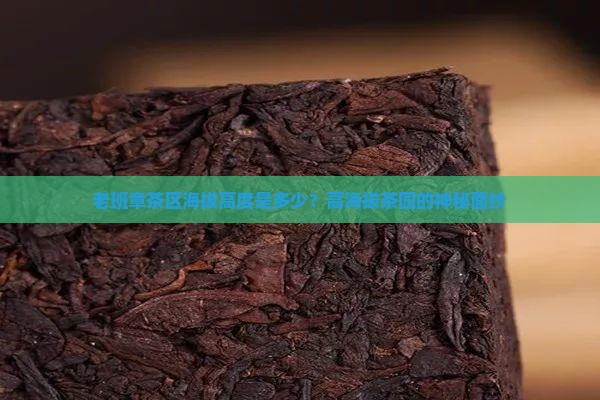 老班章茶区海拔高度