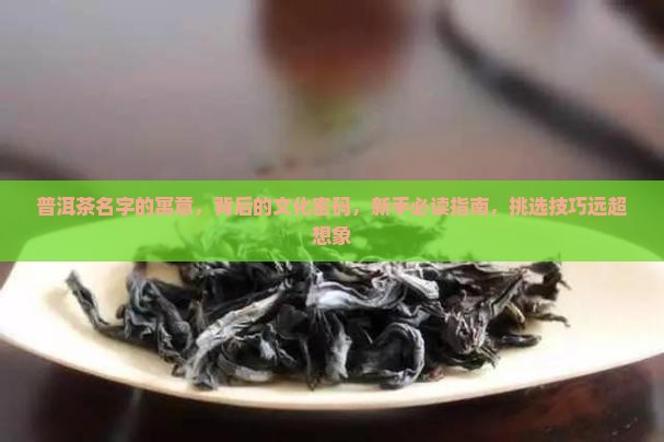 普洱茶名字的寓意