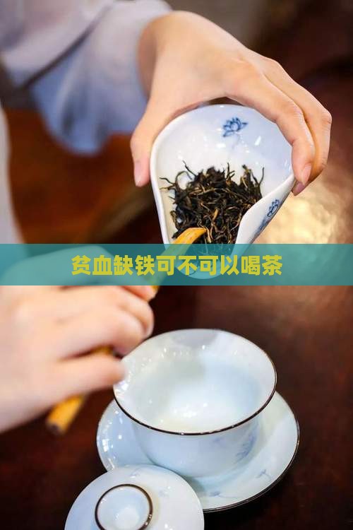 贫血缺铁可不可以喝茶