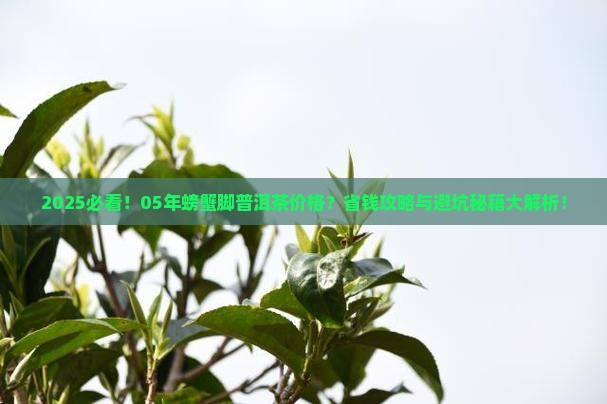 05年螃蟹脚普洱茶多少钱