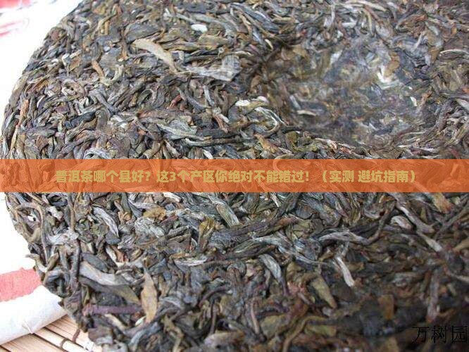 普洱茶哪个县好一点