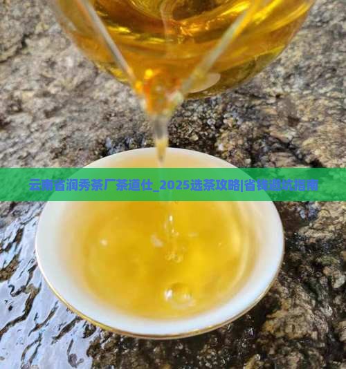 云南省润秀茶厂茶道仕 云南省润秀茶厂茶道仕