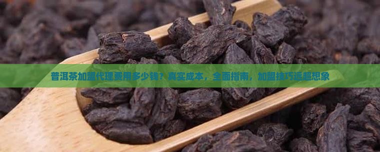 普洱茶加盟代理费用多少钱