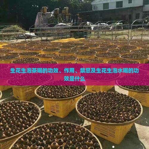 生花生泡茶喝的功效