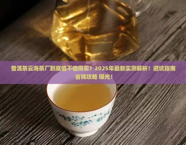 普洱茶云海茶厂