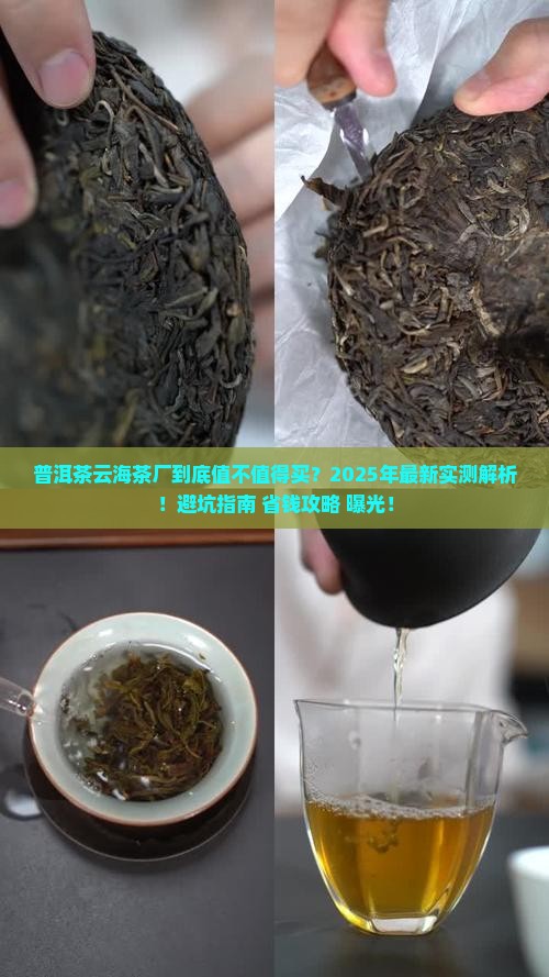 普洱茶云海茶厂