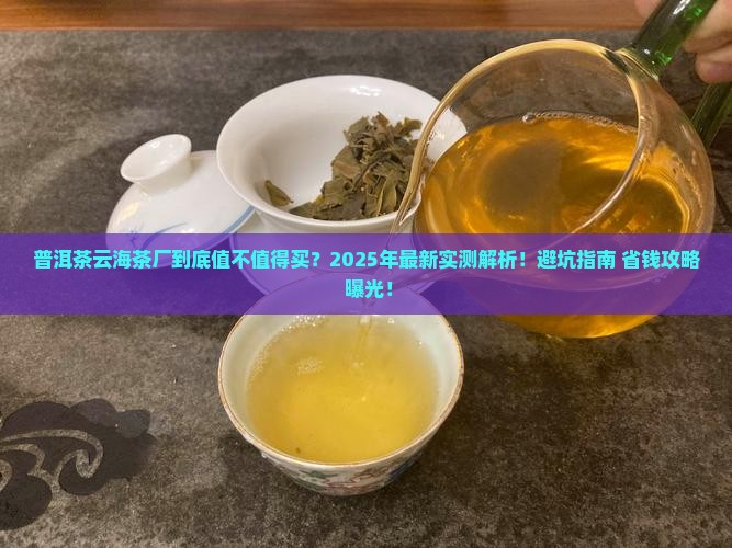 普洱茶云海茶厂