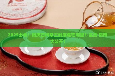 凤庆古树茶王在哪里
