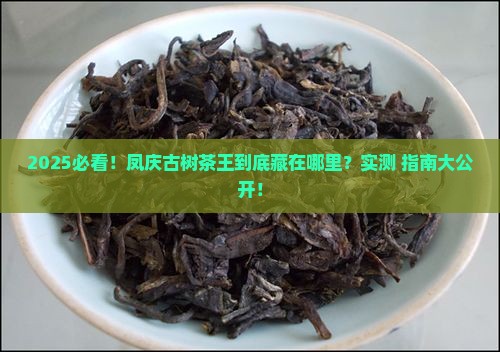 凤庆古树茶王在哪里