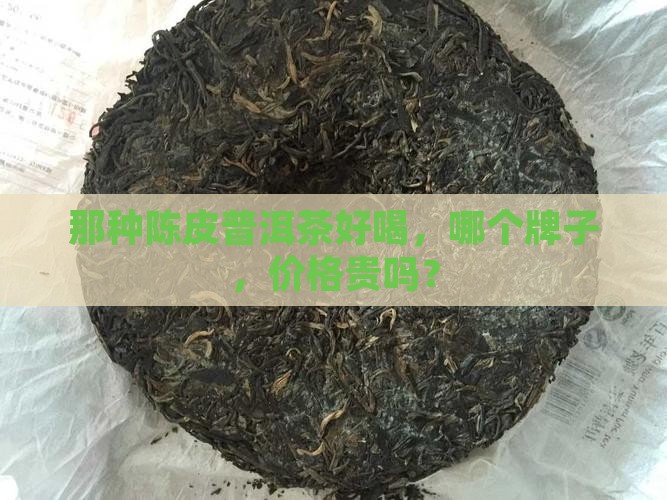 那种陈皮普洱茶好喝