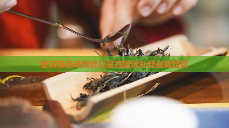 普洱茶中秋茶叶