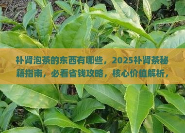 补肾泡茶的东西有哪些