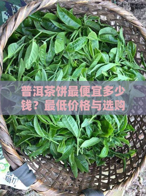 普洱茶饼最便宜多少钱