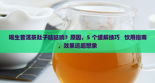喝生普洱茶肚子咕咕响