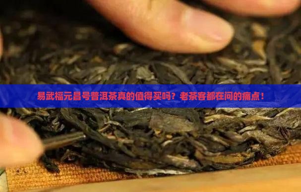 易武福元昌号普洱茶