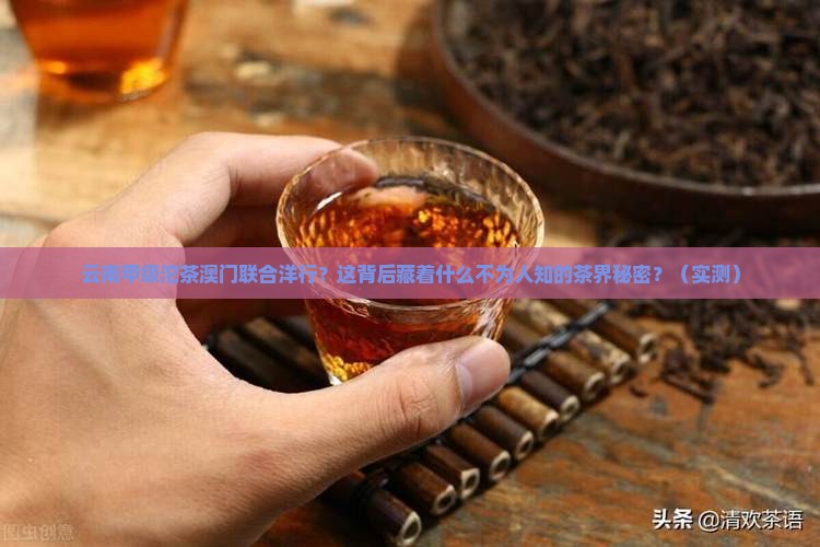 云南甲级沱茶澳门联合洋行