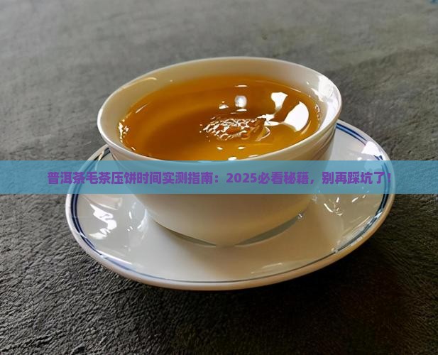 普洱茶毛茶压饼时间
