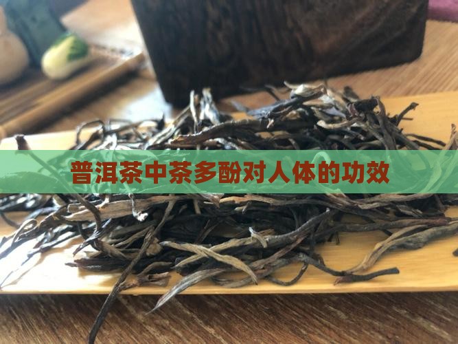 普洱茶中茶多酚对人体的功效