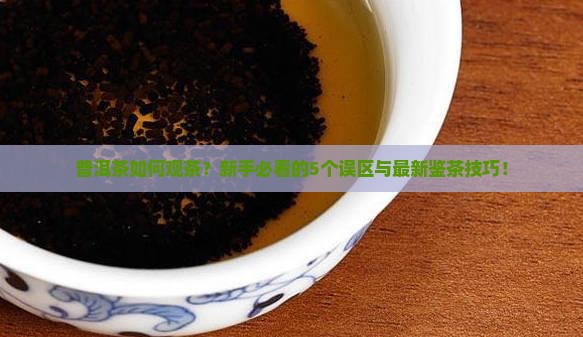 普洱茶如何观茶