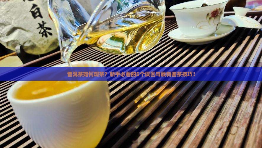 普洱茶如何观茶