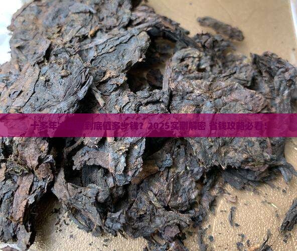十多年的冰岛茶多少钱