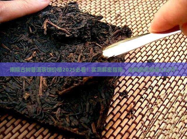 南糯古树普洱茶饼价格