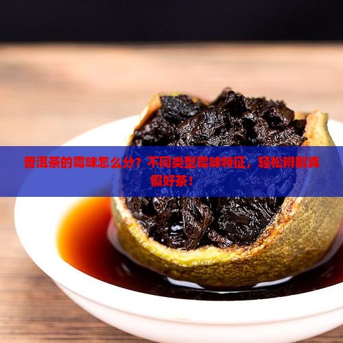 普洱茶的霉味怎么分