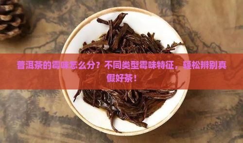 普洱茶的霉味怎么分