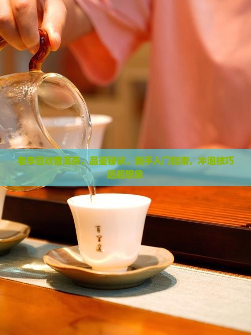 老李喜欢普洱茶