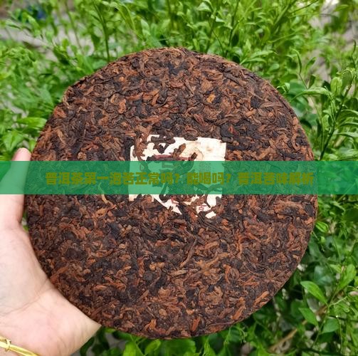 普洱茶第一泡苦正常吗能喝吗